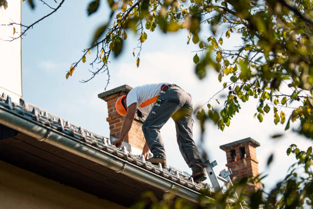 Best Roof Moss and Algae Removal  in Sully Square, VA