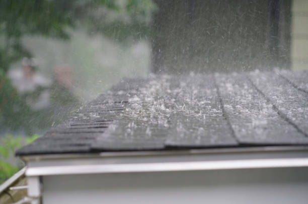 Best Sheet Metal Roofing  in Sully Square, VA