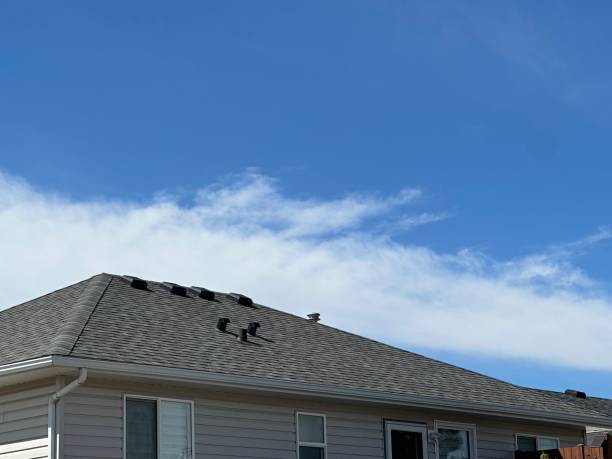 Best Steel Roofing  in Sully Square, VA